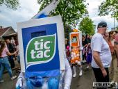 2025.04.21 - SIWKI W CHORZEMINIE