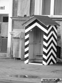 2019.01.05 - REKONSTRUKCJA-POWSTANIE WIELKOPOLSKIE WOLSZTYN 1919