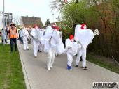 2024.04.01 - SIWKI CHORZEMIN 2024 - część 3