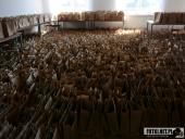 2019.03.23 - CHARYTATYWNY BIEG PO SZANSĘ DLA ADAMA - PRZYGOTOWANIA-DZIEŃ PRZED