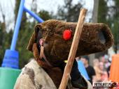 2024.04.01 - SIWKI CHORZEMIN 2024 - część 3