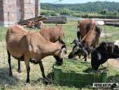 2017.06.18-23 - KUDOWA ZDRÓJ