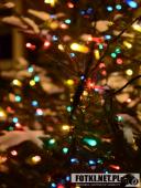 2017.01.19 - WOLSZTYN ZIMĄ