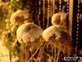 2017.01.19 - WOLSZTYN ZIMĄ