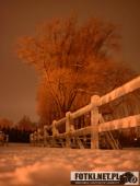 2017.01.19 - WOLSZTYN ZIMĄ