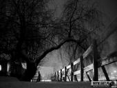 2017.01.19 - WOLSZTYN ZIMĄ