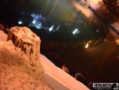 2017.01.19 - WOLSZTYN ZIMĄ