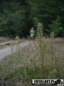 2016.09.18 - 3 BIEG W KRAINIE KONWALII