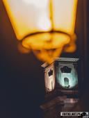 2025.11.06 - WIECZORNY SPACER - WOLSZTYN