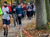 2024.11.11 - 11 WOLSZTYŃSKI BIEG NIEPODLEGŁOŚCI - cz. 2