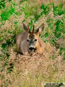 2025.05.31 - KRUTLA I OKOLICE