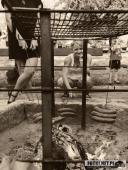 2023.06.22 - GRAGITARA WOLSZTYN - POWITANIE LATA