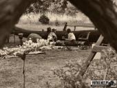 2023.06.22 - GRAGITARA WOLSZTYN - POWITANIE LATA