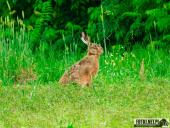 2025.05.31 - KRUTLA I OKOLICE