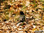 2025.05.31 - KRUTLA I OKOLICE