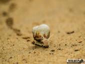 2025.05.31 - KRUTLA I OKOLICE