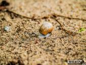 2025.05.31 - KRUTLA I OKOLICE