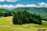 Zdjęcie z galerii