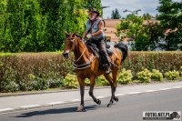 Zdjęcie z galerii