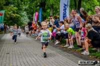 Zdjęcie z galerii