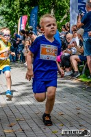 Zdjęcie z galerii