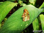 2019.04.06 - PALMIARNIA POZNAŃSKA