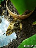 2019.04.06 - PALMIARNIA POZNAŃSKA