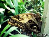 2019.04.06 - PALMIARNIA POZNAŃSKA