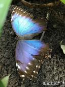 2019.04.06 - PALMIARNIA POZNAŃSKA