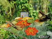 2019.04.06 - PALMIARNIA POZNAŃSKA