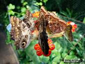 2019.04.06 - PALMIARNIA POZNAŃSKA