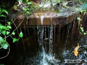 2019.04.06 - PALMIARNIA POZNAŃSKA