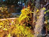 2019.04.06 - PALMIARNIA POZNAŃSKA