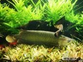 2019.04.06 - PALMIARNIA POZNAŃSKA