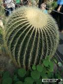 2019.04.06 - PALMIARNIA POZNAŃSKA