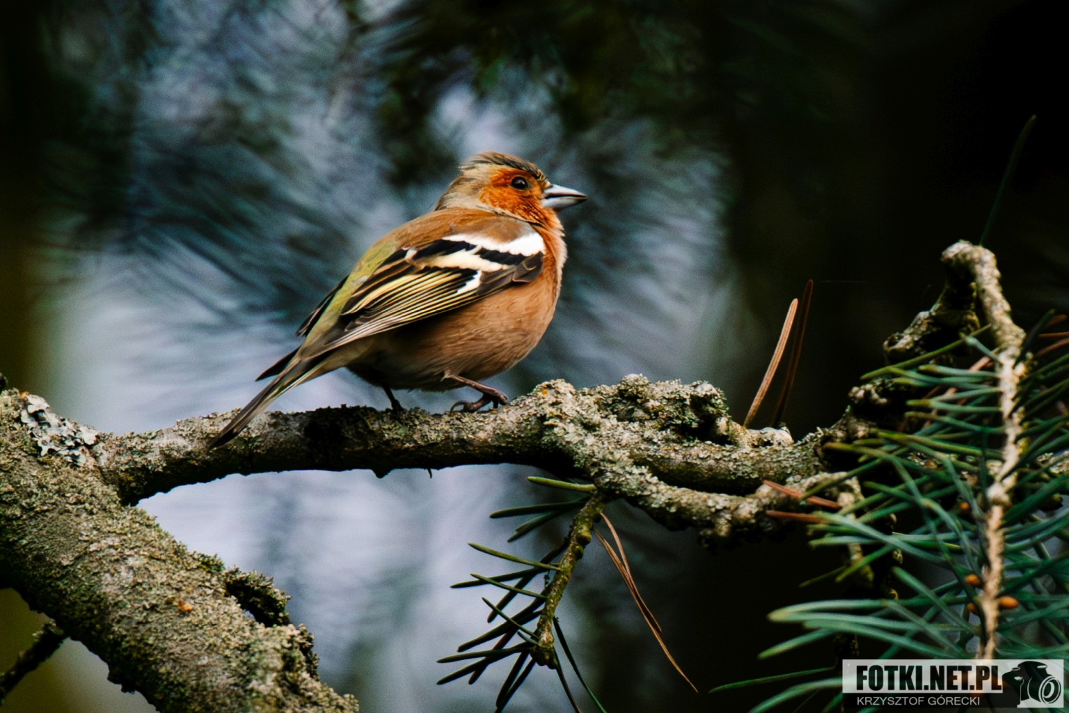 2025.04.05 - SOBOTNI PORANEK