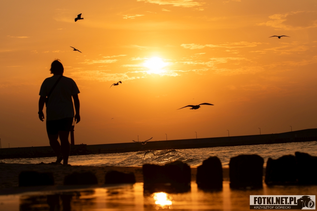2024.09.07 – MRZEŻYNO - PORT / PLAŻA