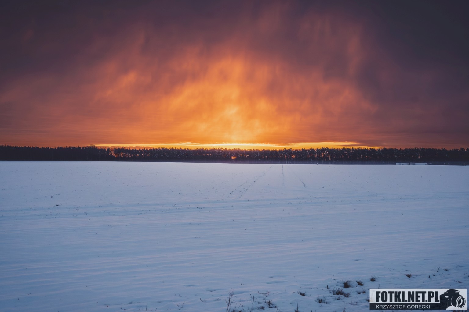 2025.02.15 - PORANNY SOBOTNI SPACER - WOLSZTYN