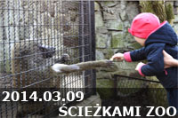 2014.03.09 - ŚCIEŻKAMI ZOO